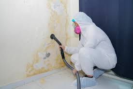 Mold Remediation for Rental Properties in Latta, OK